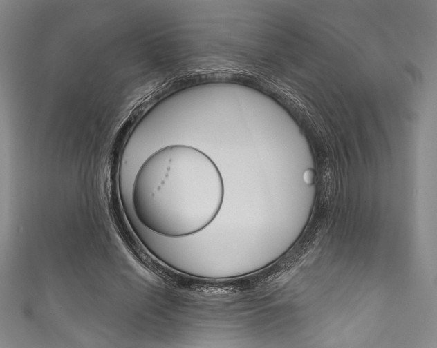 X0000111830638200907231023