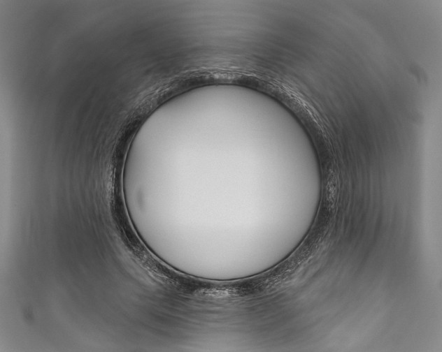 X0000111830639200907231023