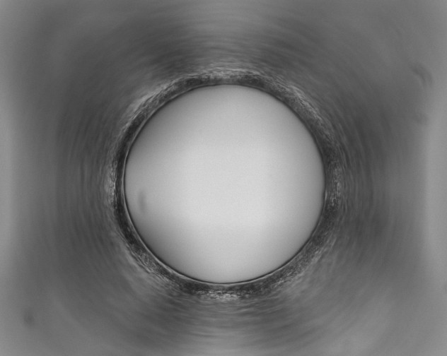 X0000111830640200907231023