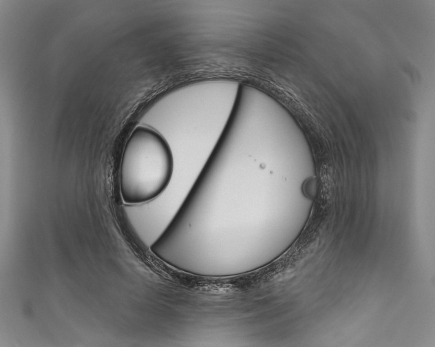 X0000111830642200907231023