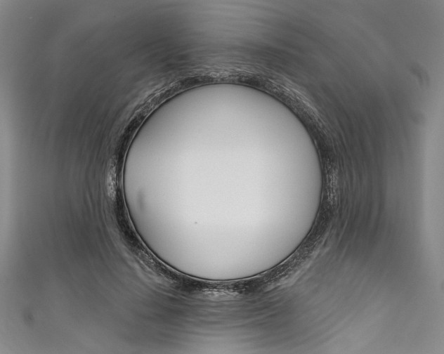 X0000111830644200907231023
