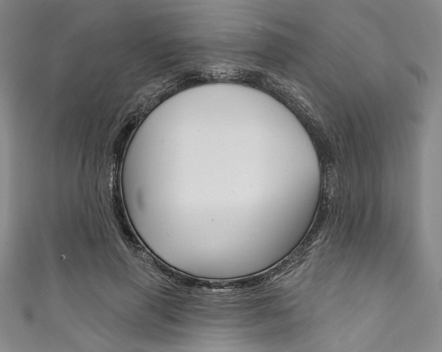 X0000111830645200907231023