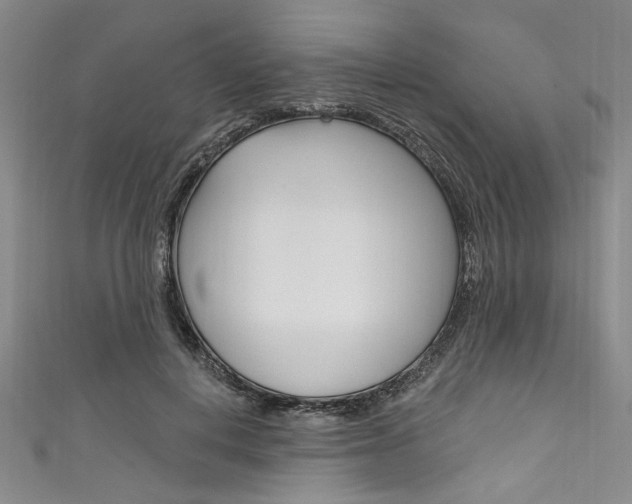 X0000111830648200907231023