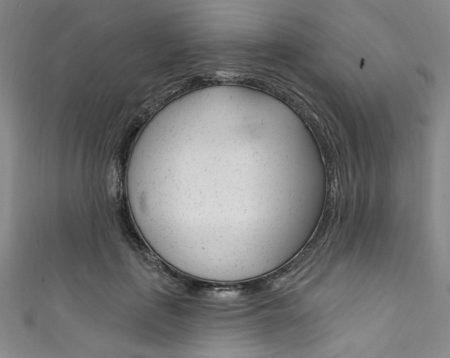 X0000111830651200907231023
