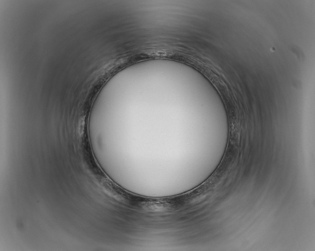 X0000111830652200907231023