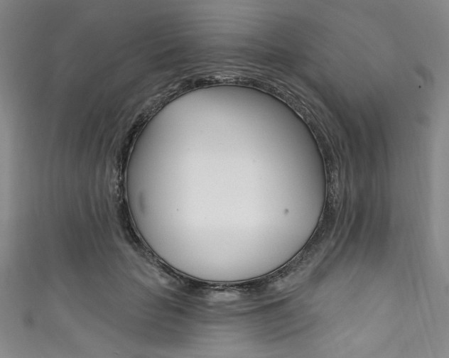 X0000111830653200907231023