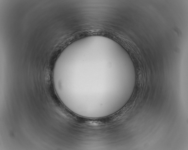 X0000111830654200907231023