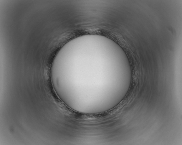 X0000111830658200907231023