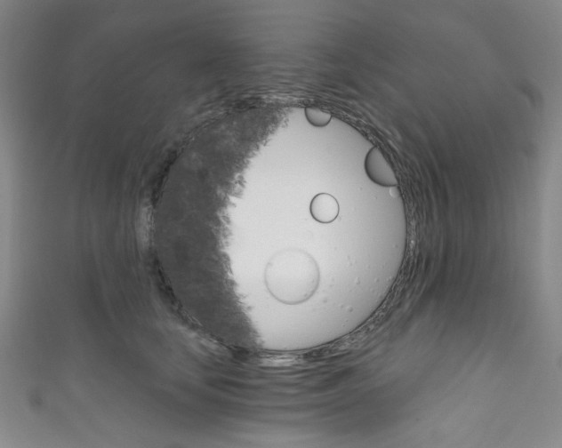 X0000111830659200907231023