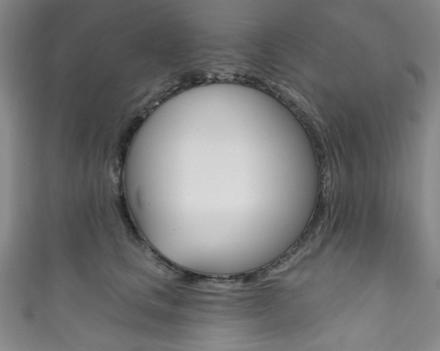 X0000111830661200907231023