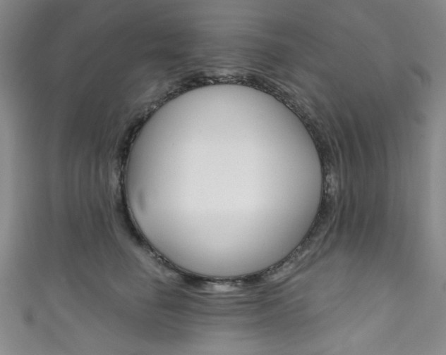 X0000111830662200907231023