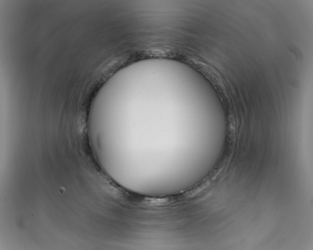 X0000111830665200907231023