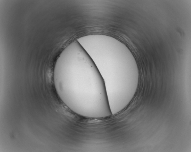 X0000111830669200907231023