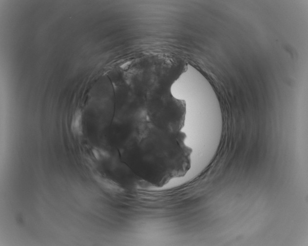 X0000111830671200907231023