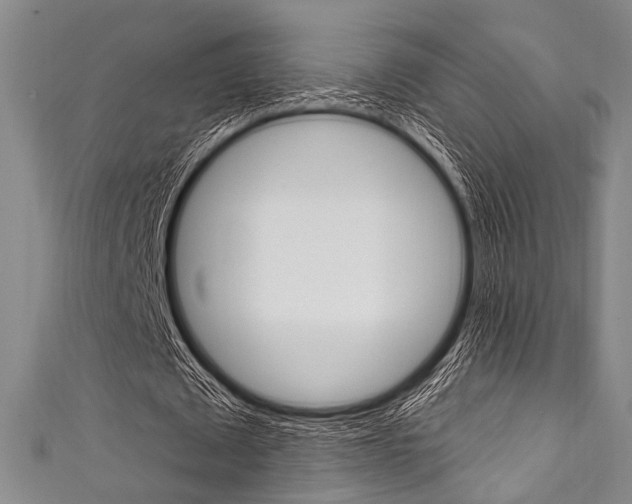 X0000111830673200907231023