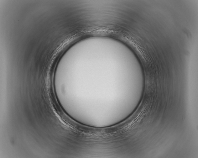 X0000111830674200907231023