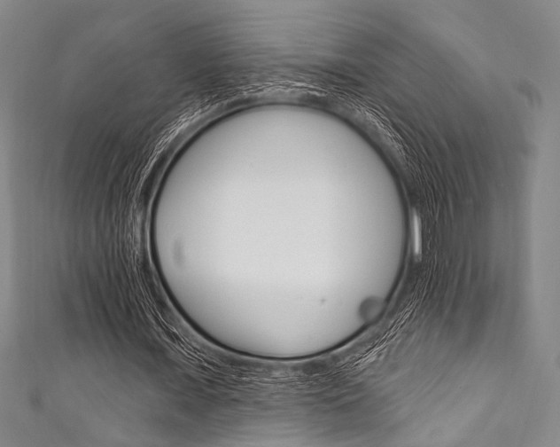 X0000111830675200907231023