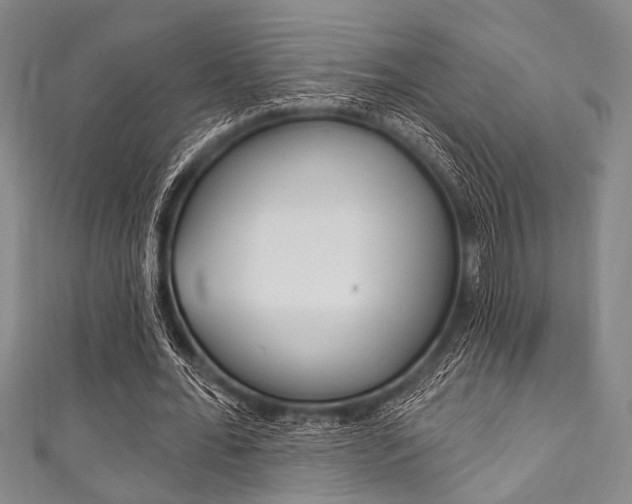 X0000111830676200907231023