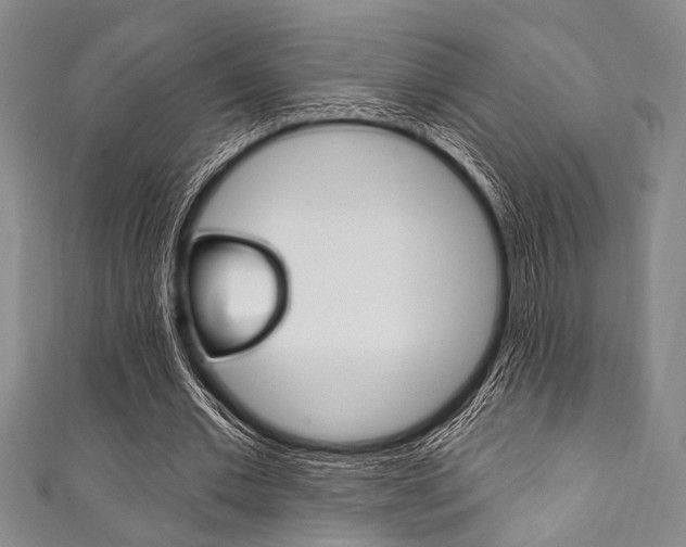X0000111830677200907231023