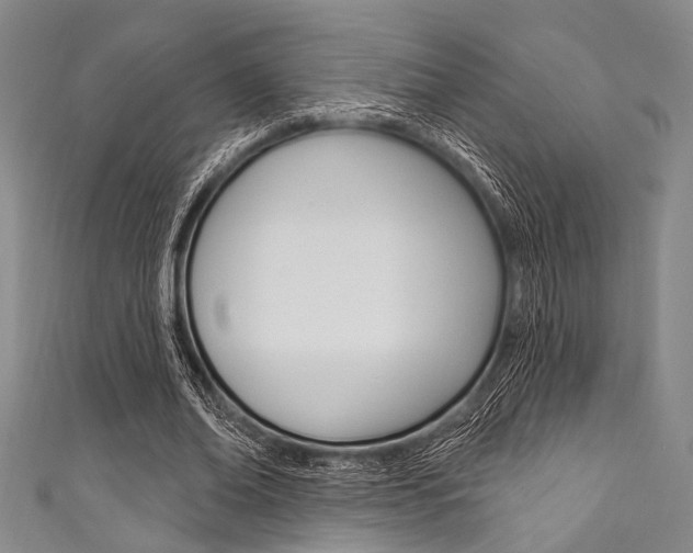 X0000111830678200907231023