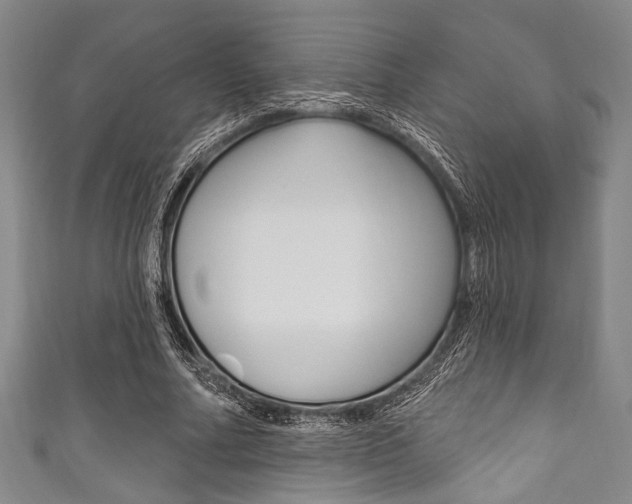 X0000111830682200907231023