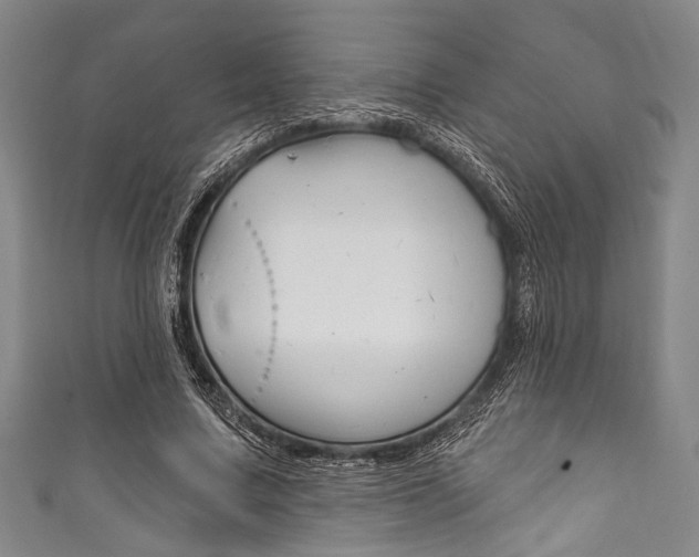 X0000111830683200907231023
