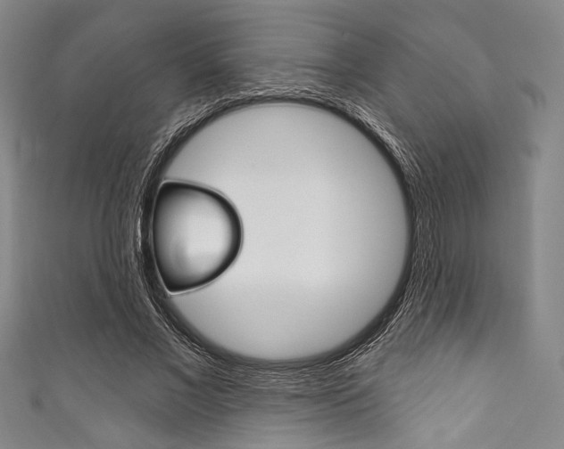 X0000111830685200907231023