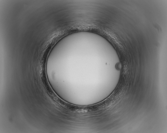 X0000111830687200907231022