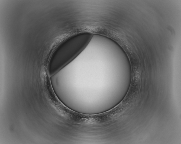 X0000111830688200907231022