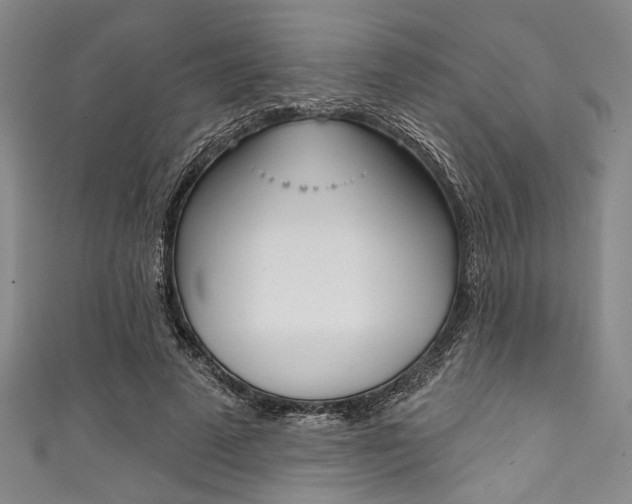 X0000111830689200907231022