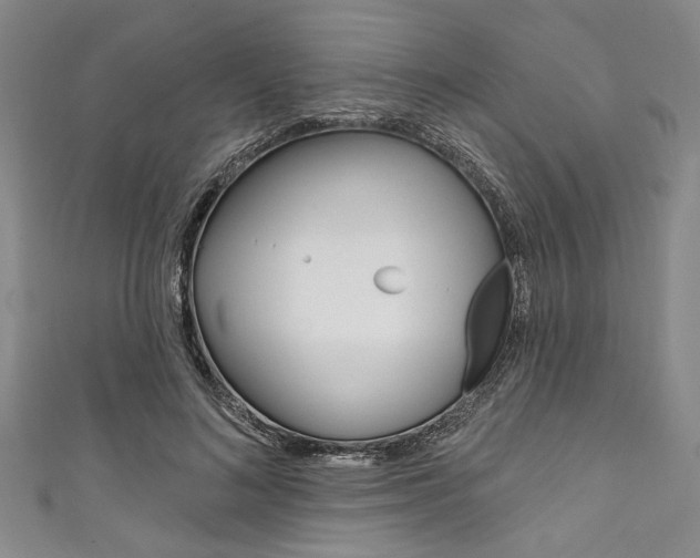 X0000111830692200907231022