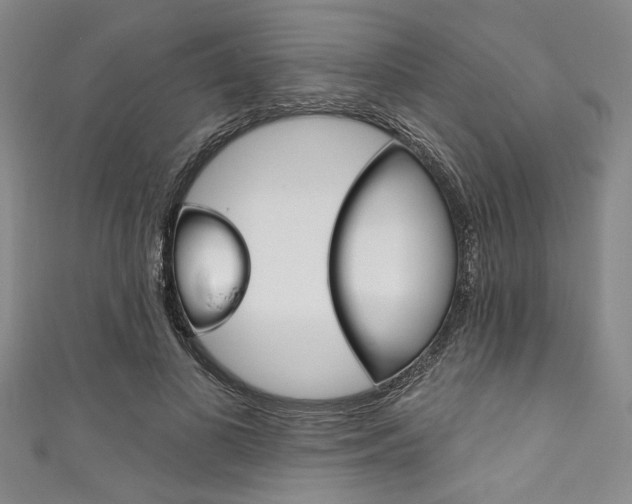 X0000111830693200907231022