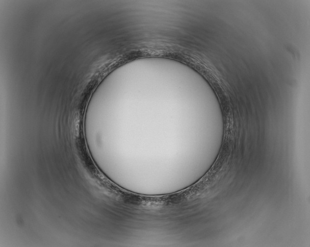 X0000111830694200907231022