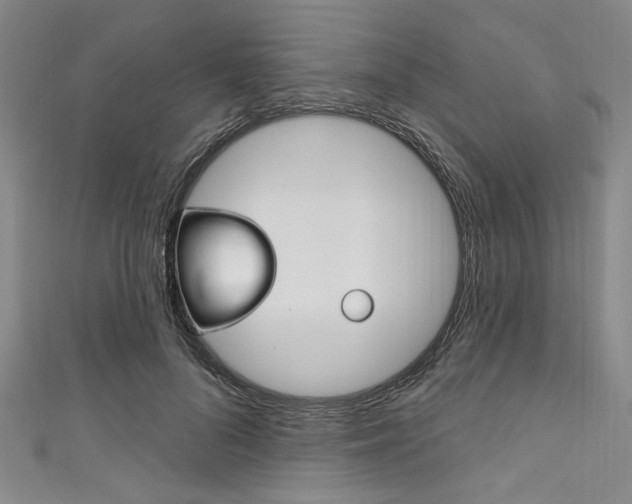 X0000111830696200907231022