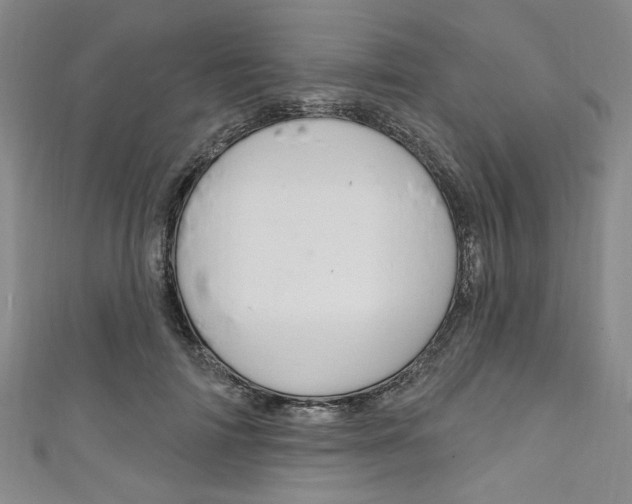X0000111830698200907231022
