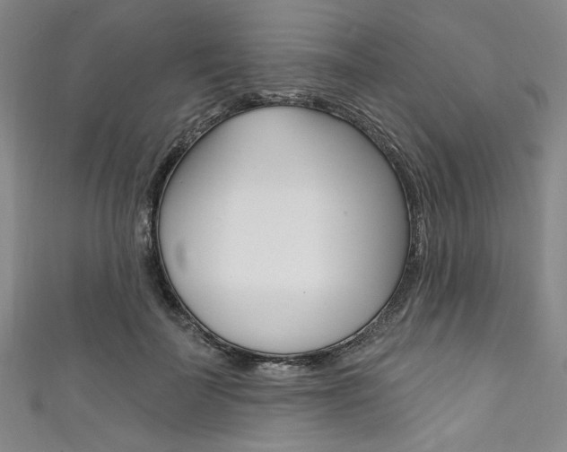 X0000111830699200907231022