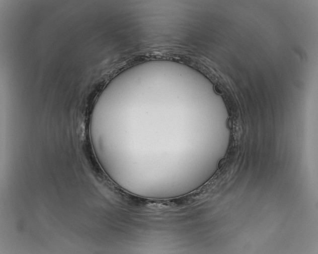 X0000111830703200907231022