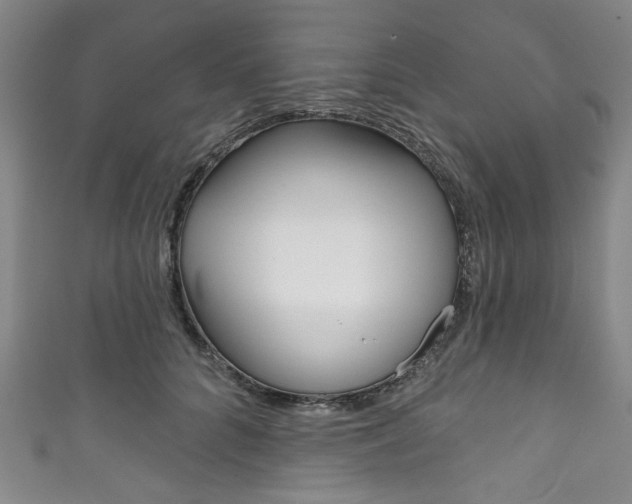 X0000111830704200907231022