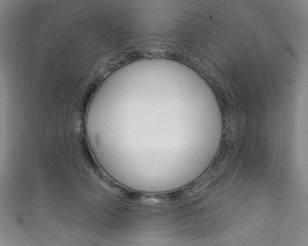 X0000111830706200907231022