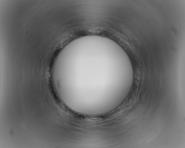 X0000111830707200907231022
