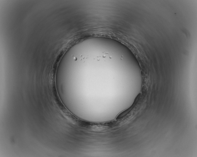 X0000111830708200907231022