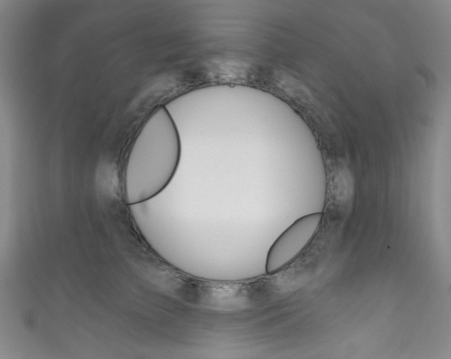 X0000111830709200907231022