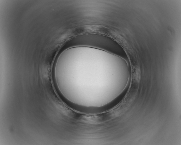 X0000111830712200907231022