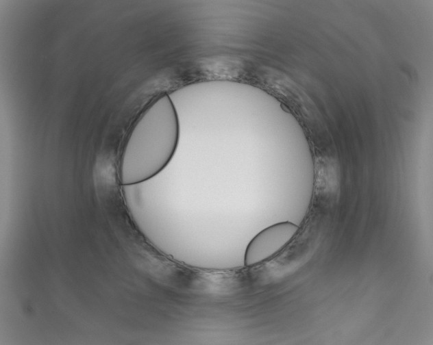 X0000111830713200907231022
