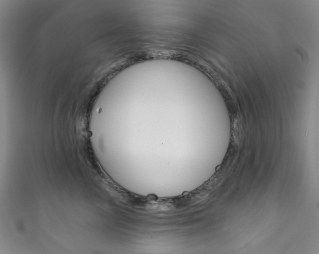 X0000111830714200907231022