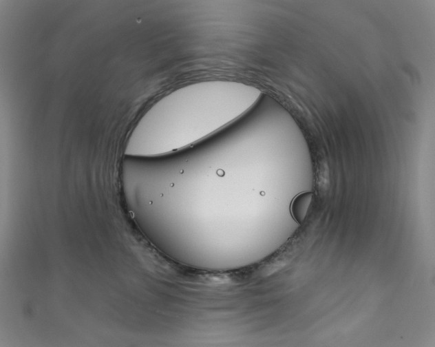 X0000111830715200907231022