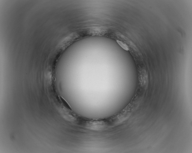 X0000111830716200907231022