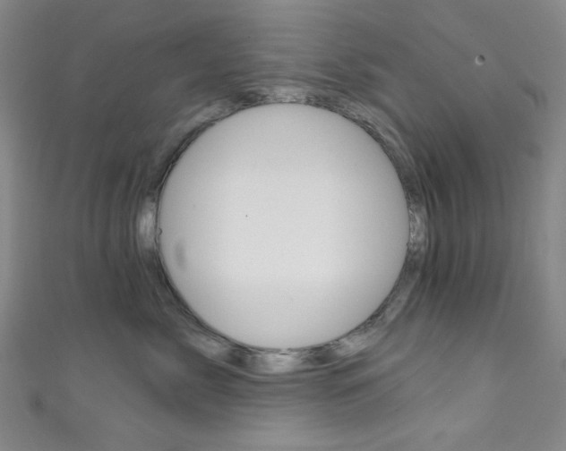 X0000111830717200907231022