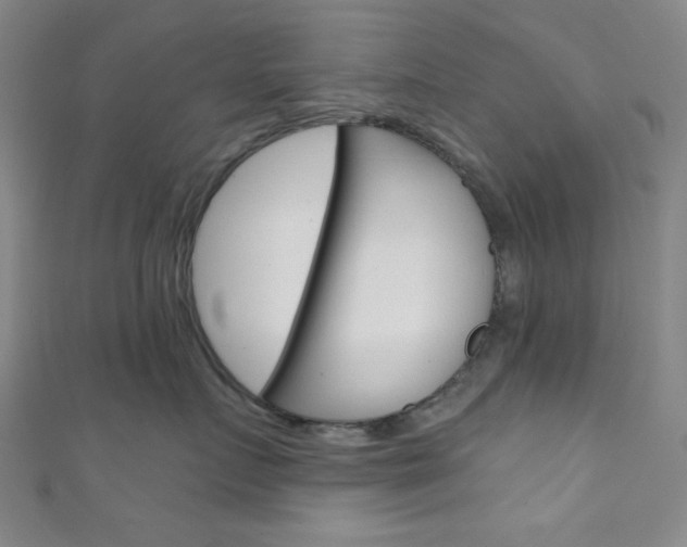 X0000111830719200907231022