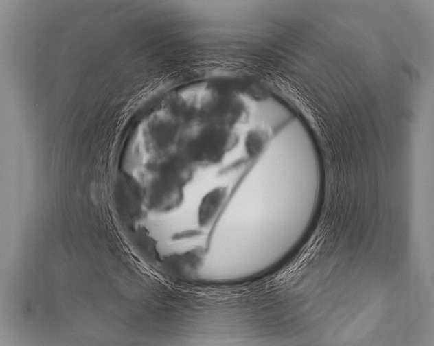 X0000111830721200907231021